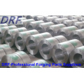 Ring Flange, Forging Ring, Stainless Steel Ring Forging